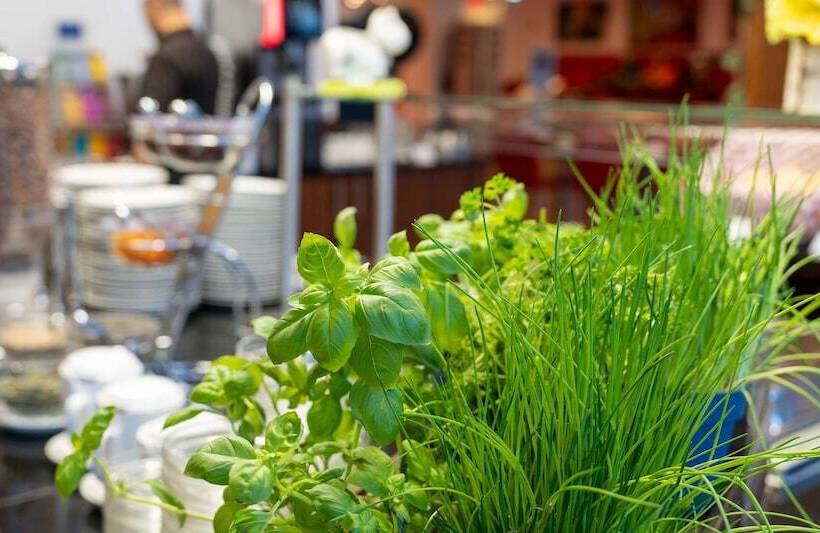 Fotos del hotel Best Western Plus Plaza Berlin Kurfürstendamm:  59