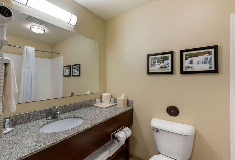 בית מלון כפרי Comfort Inn & Suites Marion I57