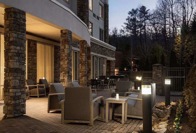 فندق Courtyard By Marriott Boone