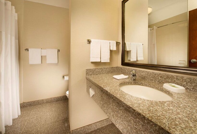 Fotos del hotel Drury Inn & Suites Orlando Near Universal Orlando Resort:  28