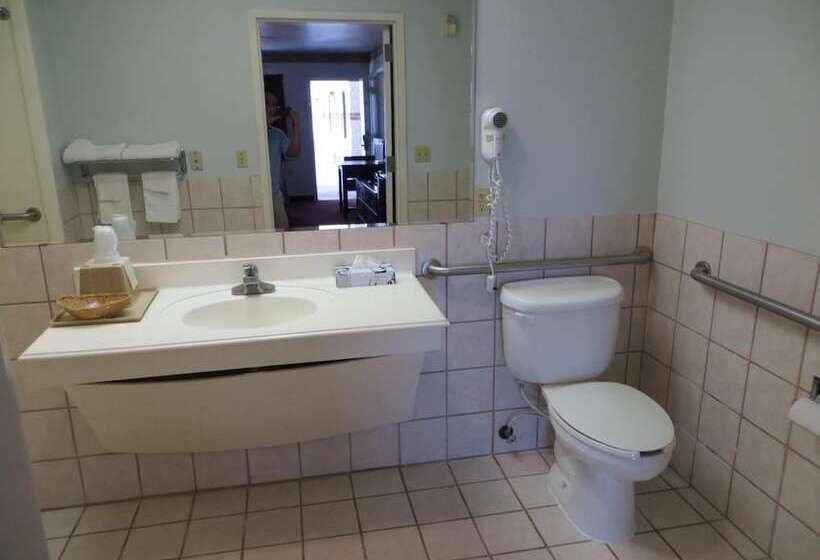 هتل Executive Inn & Suites West Columbia
