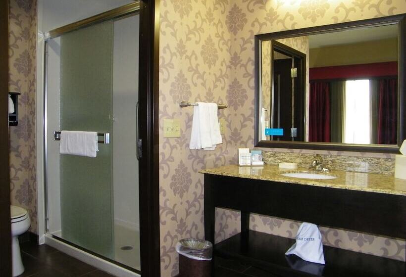 فندق Hampton Inn & Suites Hope