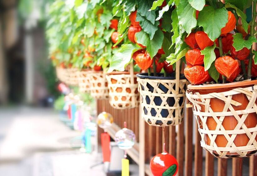 Fotos del hotel B:conte Asakusa:  10