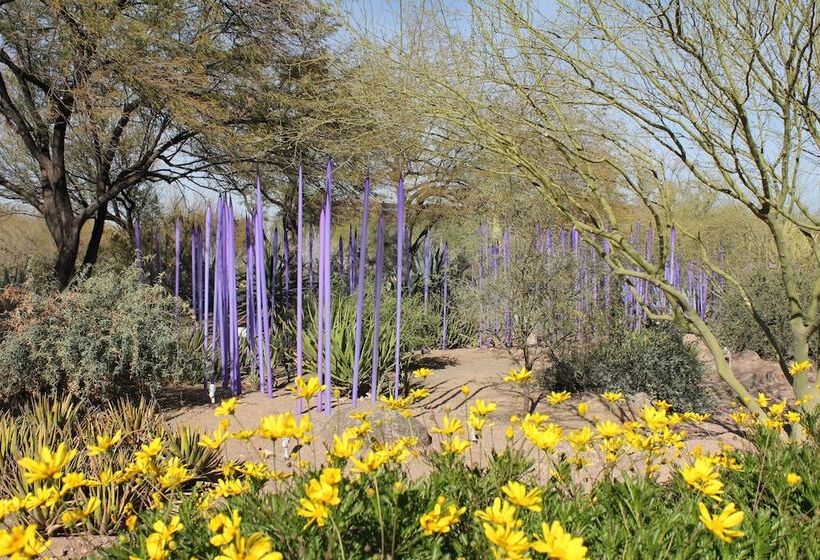 هتل The Canyon Suites At The Phoenician, A Luxury Collection Resort, Scottsdale