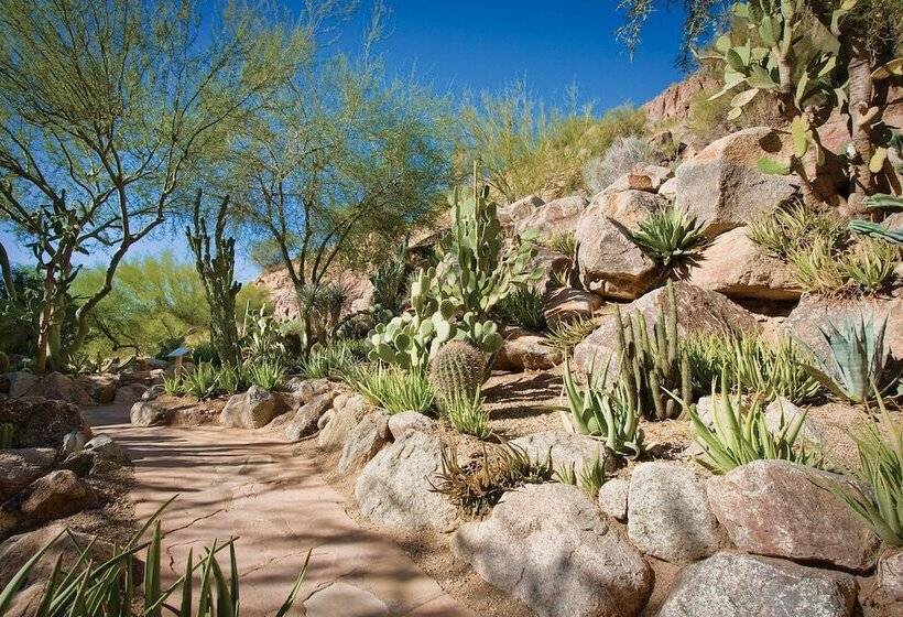 هتل The Canyon Suites At The Phoenician, A Luxury Collection Resort, Scottsdale