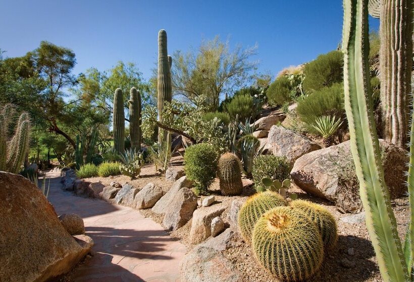 هتل The Canyon Suites At The Phoenician, A Luxury Collection Resort, Scottsdale