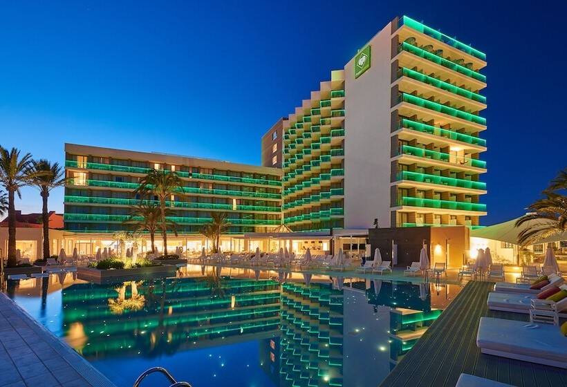 Fotos del hotel Protur Playa Cala Millor   Adults Only:  41