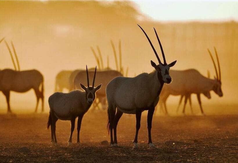 Anantara Sir Bani Yas Island Al Yamm Villa Resort