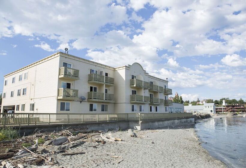 فندق Water Front Inn