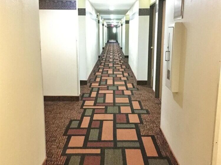 ホテル Amerihost Inn & Suites Fulton