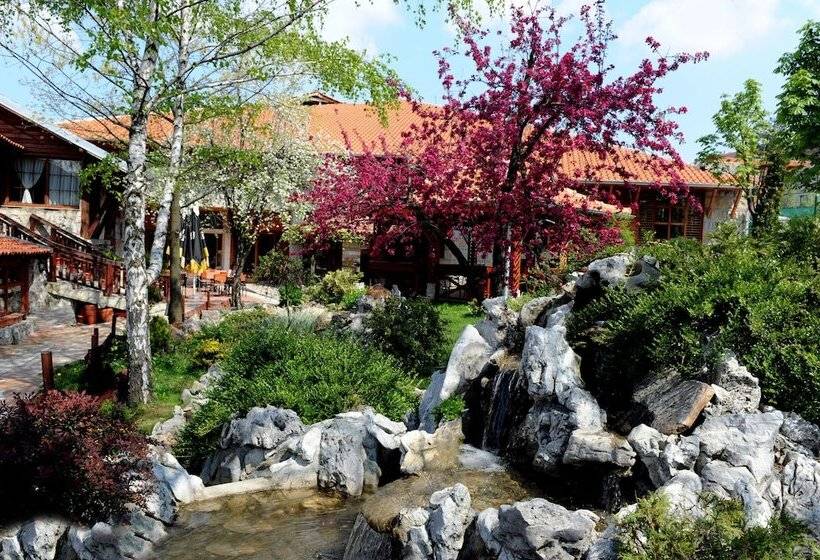 هتل Centar Balasevic