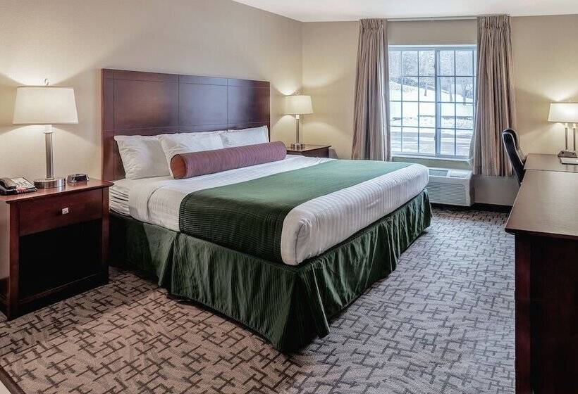 酒店 Cobblestone Inn & Suites  Durand