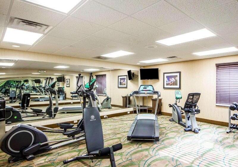 בית מלון כפרי Comfort Inn & Suites