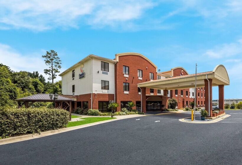 호텔 Comfort Inn & Suites Midway   Tallahassee West