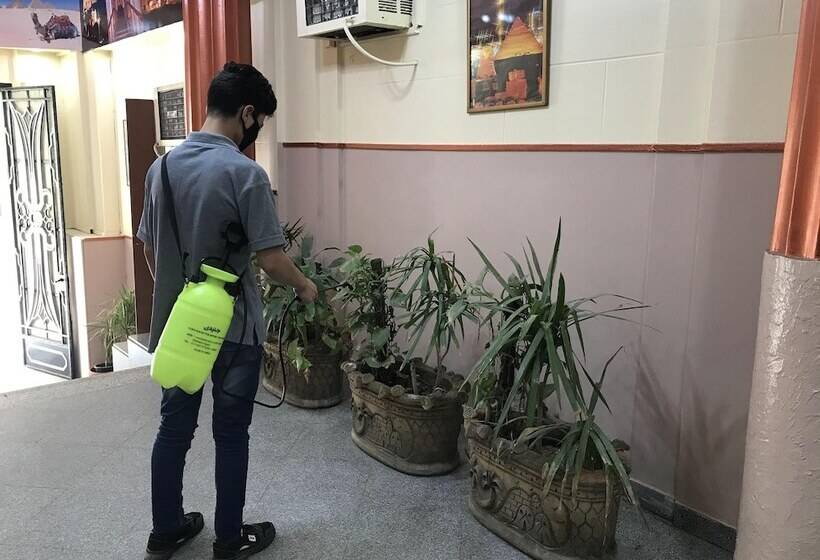 Fotos del hotel City View:  27