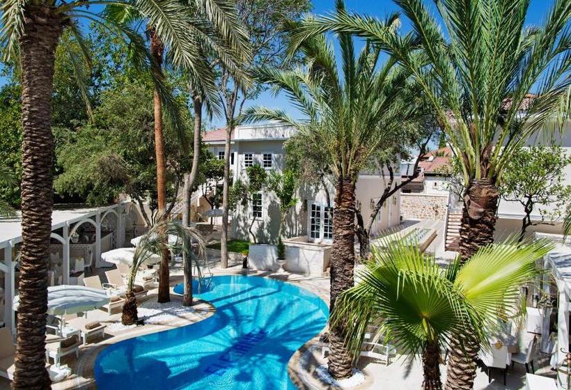 Fotos del hotel Elegance East:  18