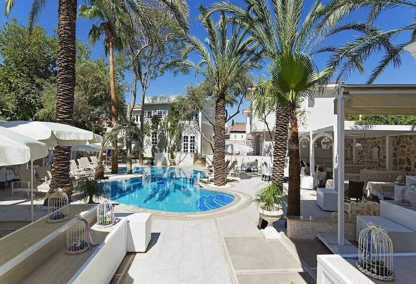 Fotos del hotel Elegance East:  13