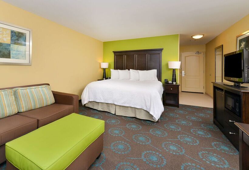 Hotel Hampton Inn Iowa City/university Area