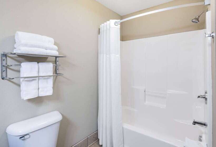 هتل Hawthorn Suites By Wyndham Williston