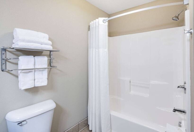 هتل Hawthorn Suites By Wyndham Williston