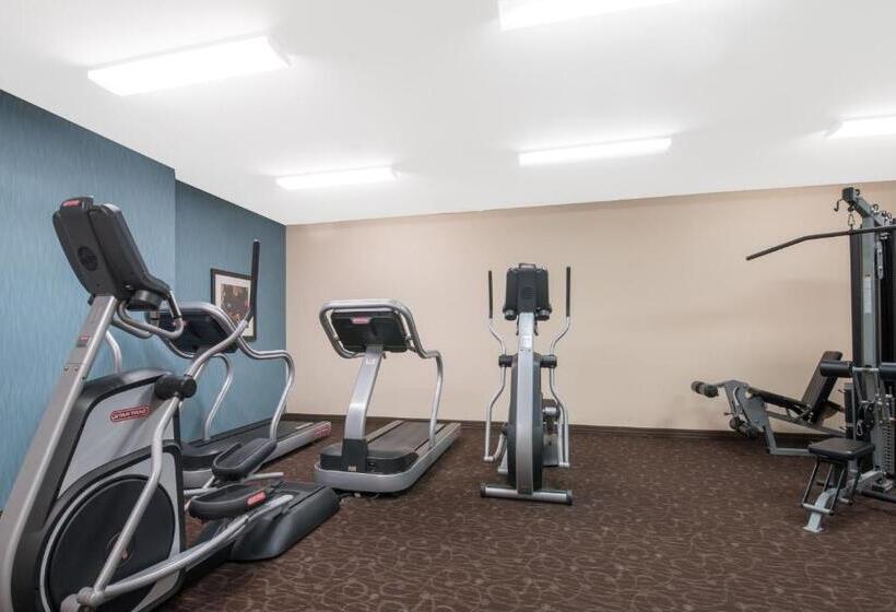 هتل Hawthorn Suites By Wyndham Williston