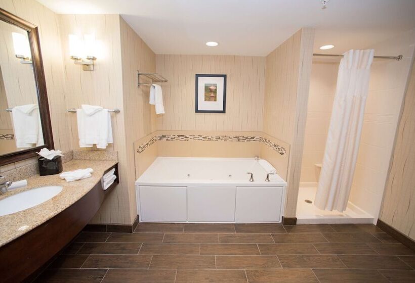 호텔 Hilton Garden Inn Dayton South Austin Landing