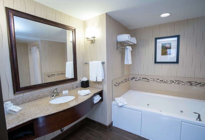 호텔 Hilton Garden Inn Dayton South Austin Landing