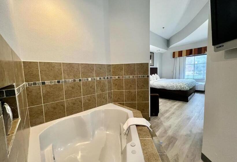 Отель Hometowne Studios & Suites Washington
