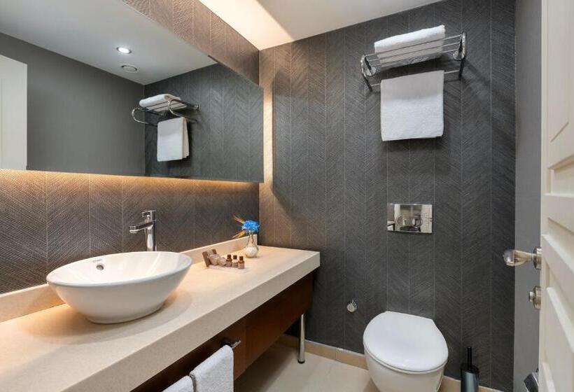 Fotos del hotel Miracle Istanbul Asia Airport  & Spa:  16