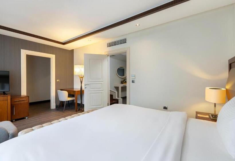 Fotos del hotel Miracle Istanbul Asia Airport  & Spa:  4