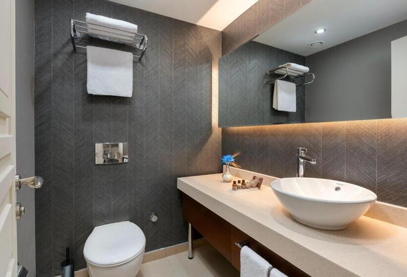 Fotos del hotel Miracle Istanbul Asia Airport  & Spa:  17