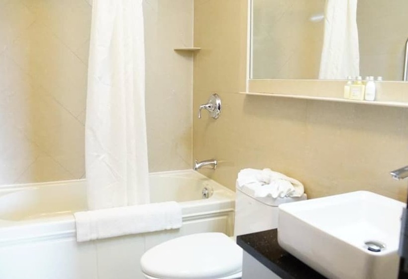 Fotos del hotel Nesva   New York City Vista:  12