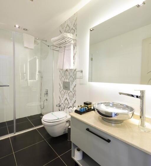 Fotos del hotel Suiteness Taksim:  8