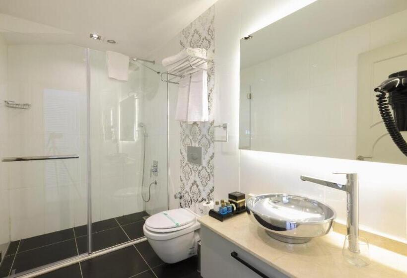 Fotos del hotel Suiteness Taksim:  9