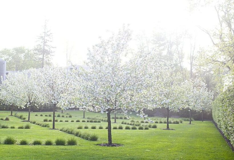 فندق Topping Rose House