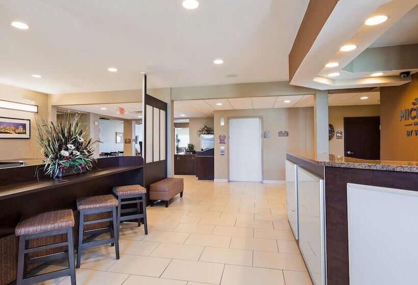 Microtel Inn & Suites By Wyndham Buda Austin South