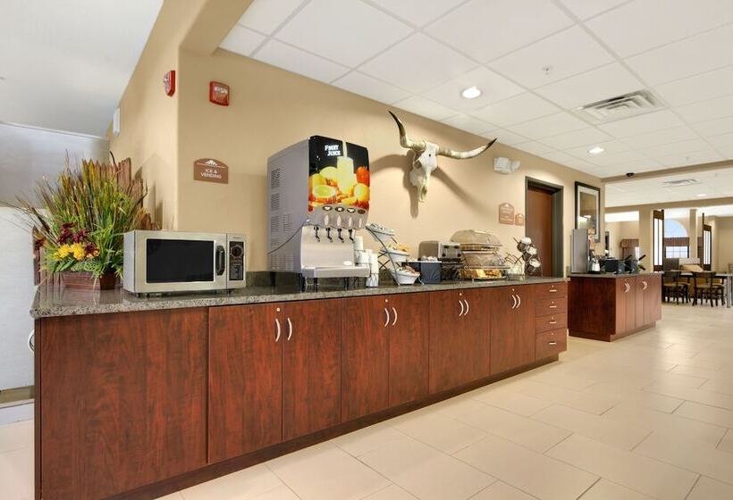 Microtel Inn & Suites By Wyndham Buda Austin South