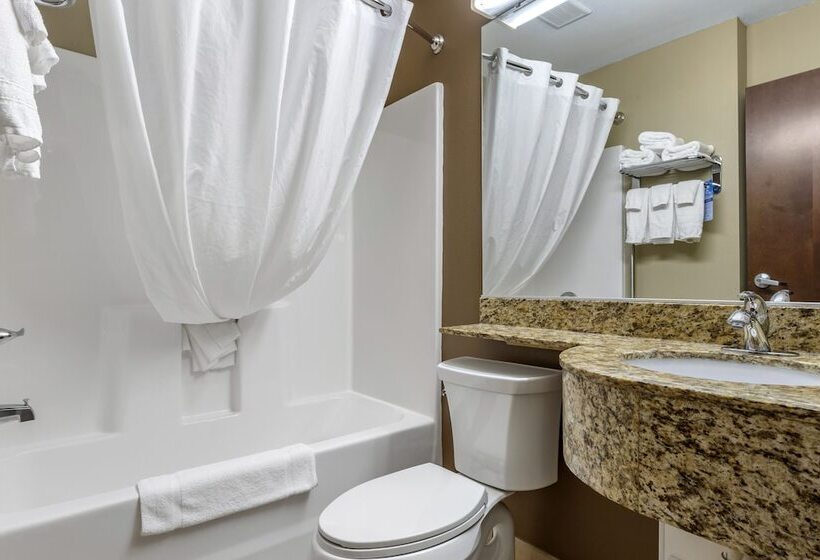 Microtel Inn & Suites By Wyndham Sylva Dillsboro Area