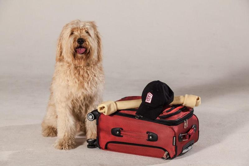 מוטל Red Roof Inn Williamsburg