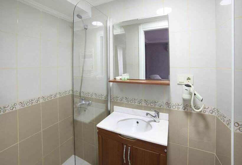 Fotos del hotel Serenity Boutique Hotel Istanbul:  28