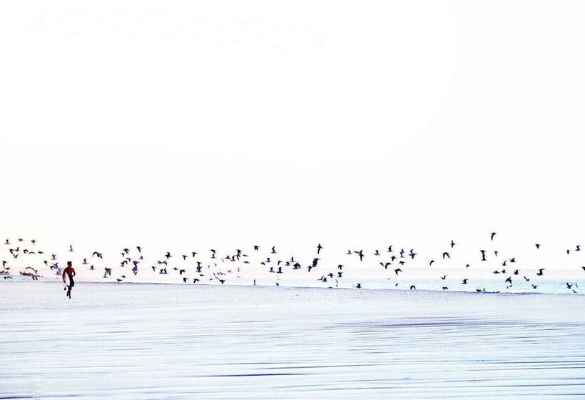 هتل Ocean Vagabond Dakhla