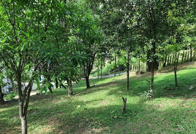 هتل Chaweng Park Place