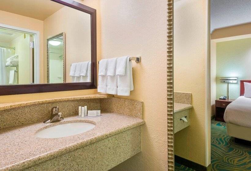 Hotel Springhill Suites Fort Myers Airport
