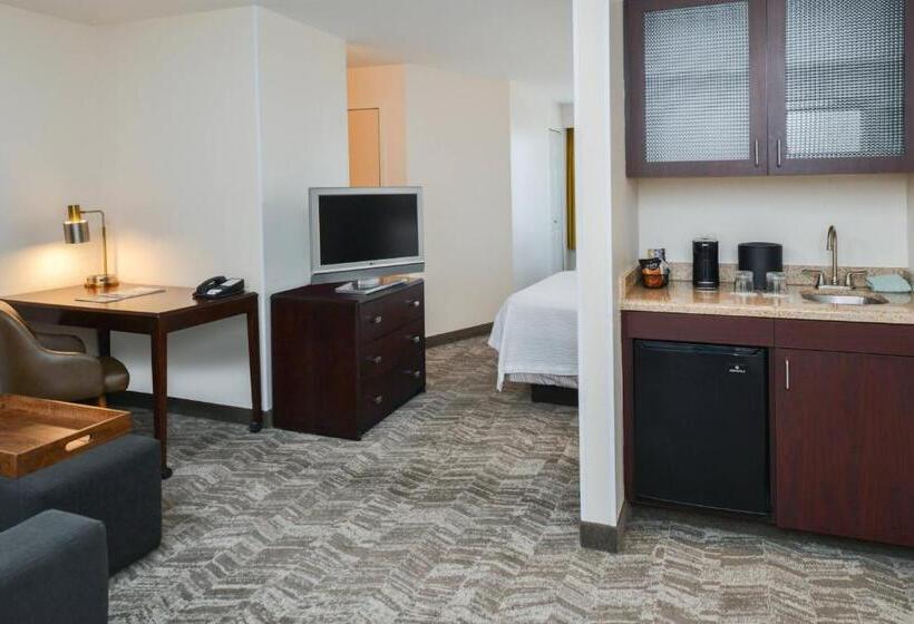 فندق Springhill Suites By Marriott Lancaster Palmdale