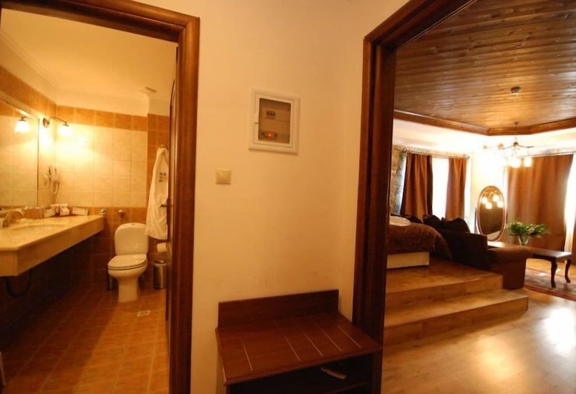 هتل Vasilitsa Spa Resort