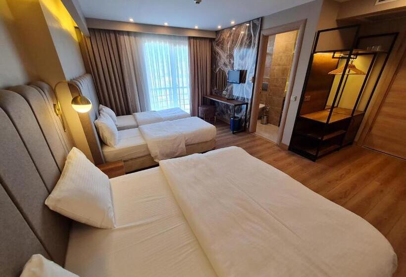 Fotos del hotel Air Boss Istanbul Airport And Fair:  10