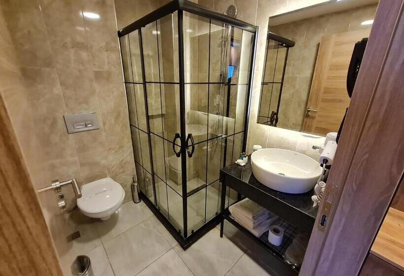 Fotos del hotel Air Boss Istanbul Airport And Fair:  40