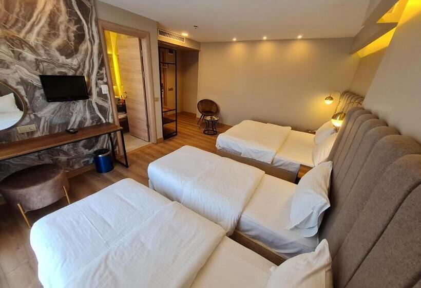 Fotos del hotel Air Boss Istanbul Airport And Fair:  6