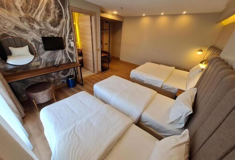 Fotos del hotel Air Boss Istanbul Airport And Fair:  49