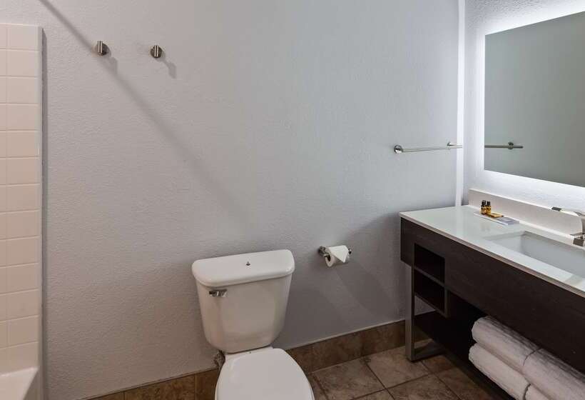 هتل Best Western Plus Appleton Airport Mall